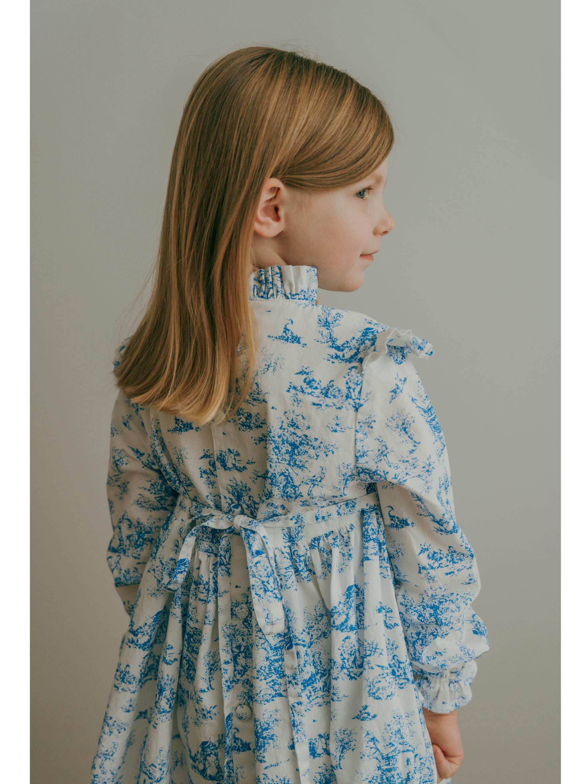 Aoki Blue Toile Dress| Long Sleeve