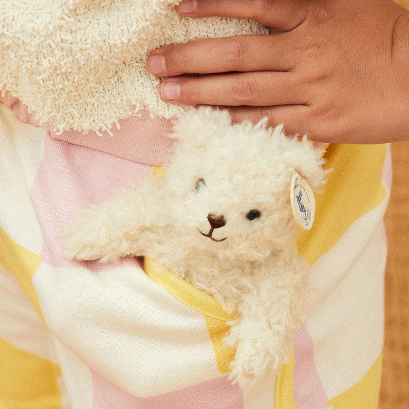 Plush BT CHAPS WALTER THE MINI BEAR in Giftbox 4.5"