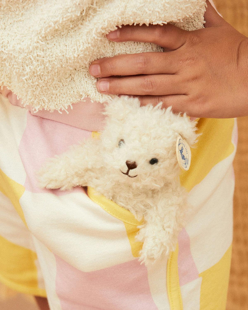 Plush BT CHAPS WALTER THE MINI BEAR in Giftbox 4.5"