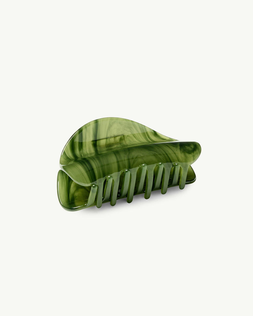 Crescent Claw in Algae