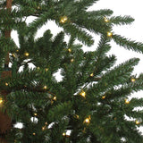 7-Foot Pre-Lit Warm White LED Mountain Pine Tree