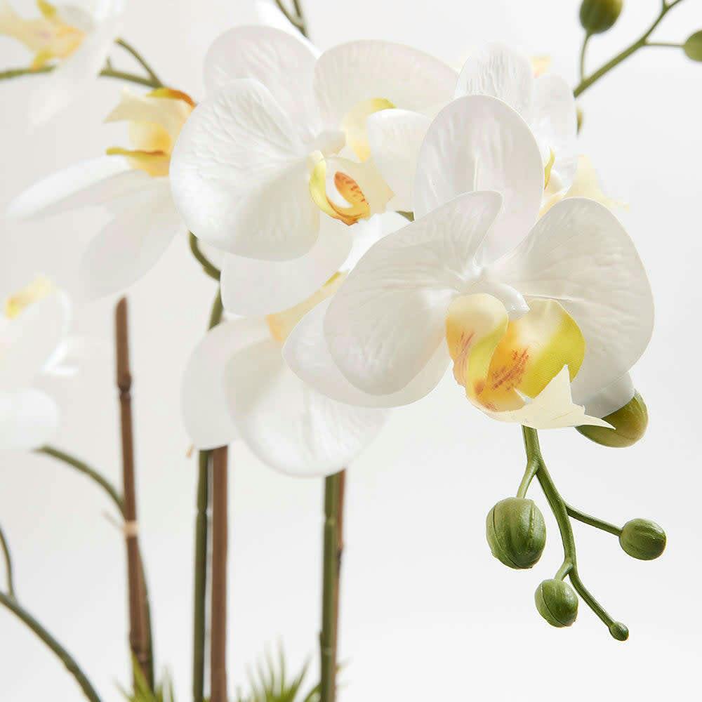 Artificial Orchid with Succulents