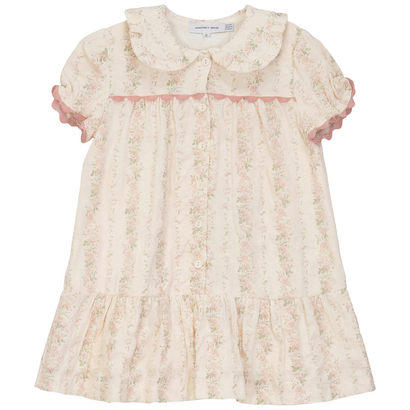 Stripe Floral Print Dress