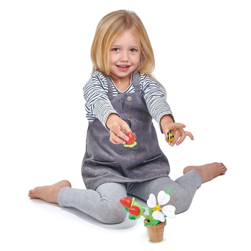 Strawberry Flower Pot