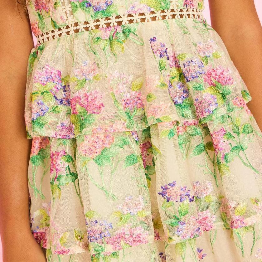 Clementine Embroidered Mini Dress