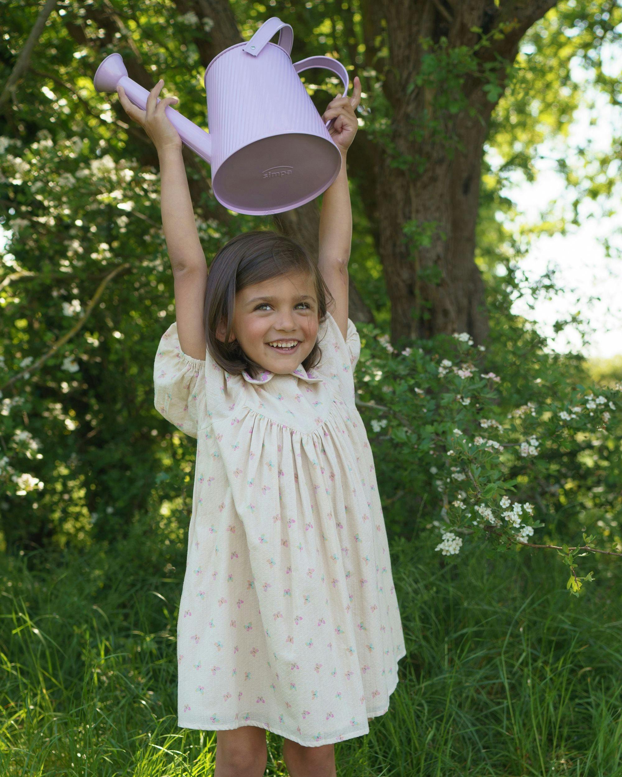 Beth Dress - Butterfly print