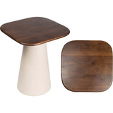 Skye 18" Modern Rustic Square Wood/Metal Accent Table