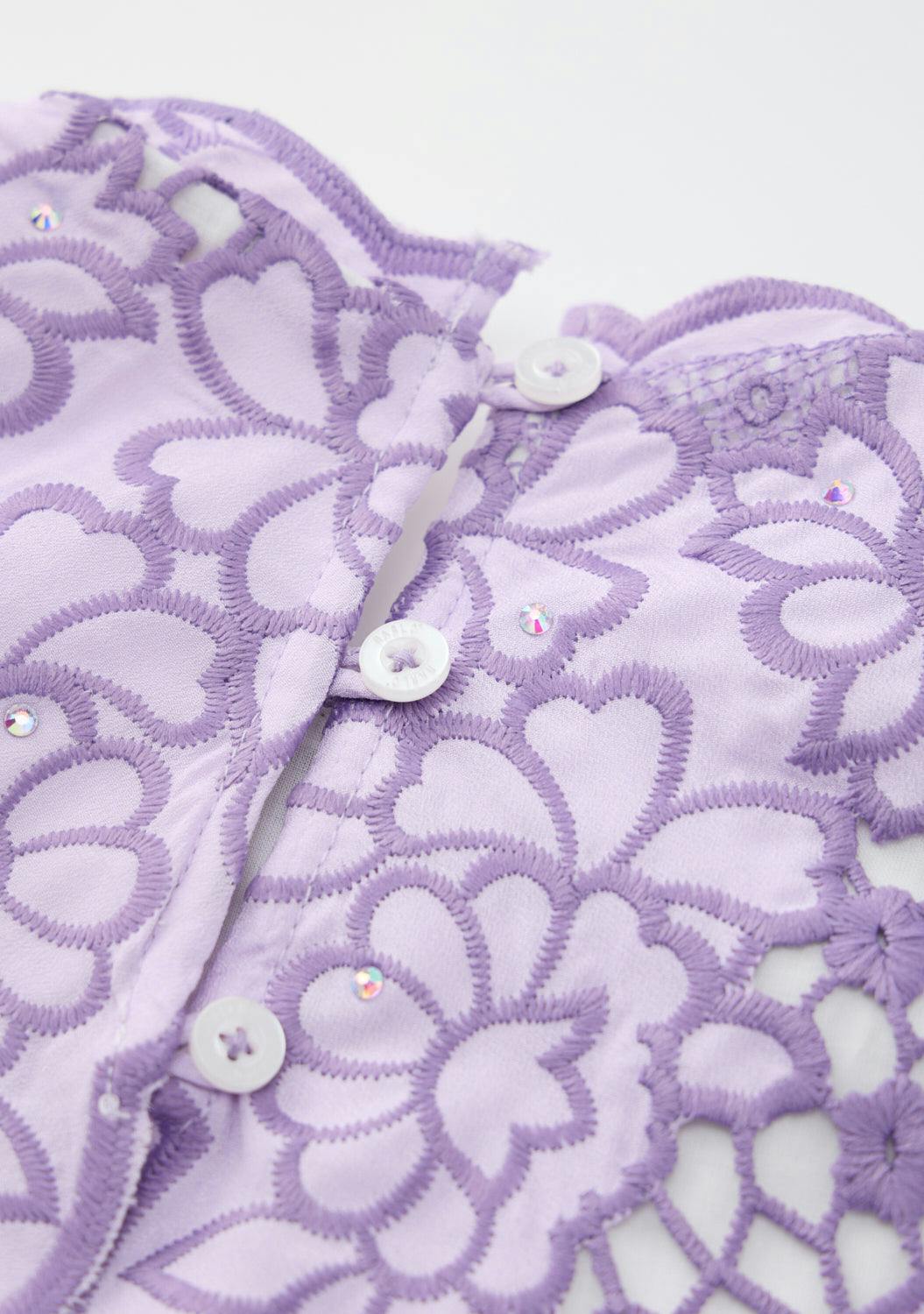 Emmelina Embroidery Mini Dress