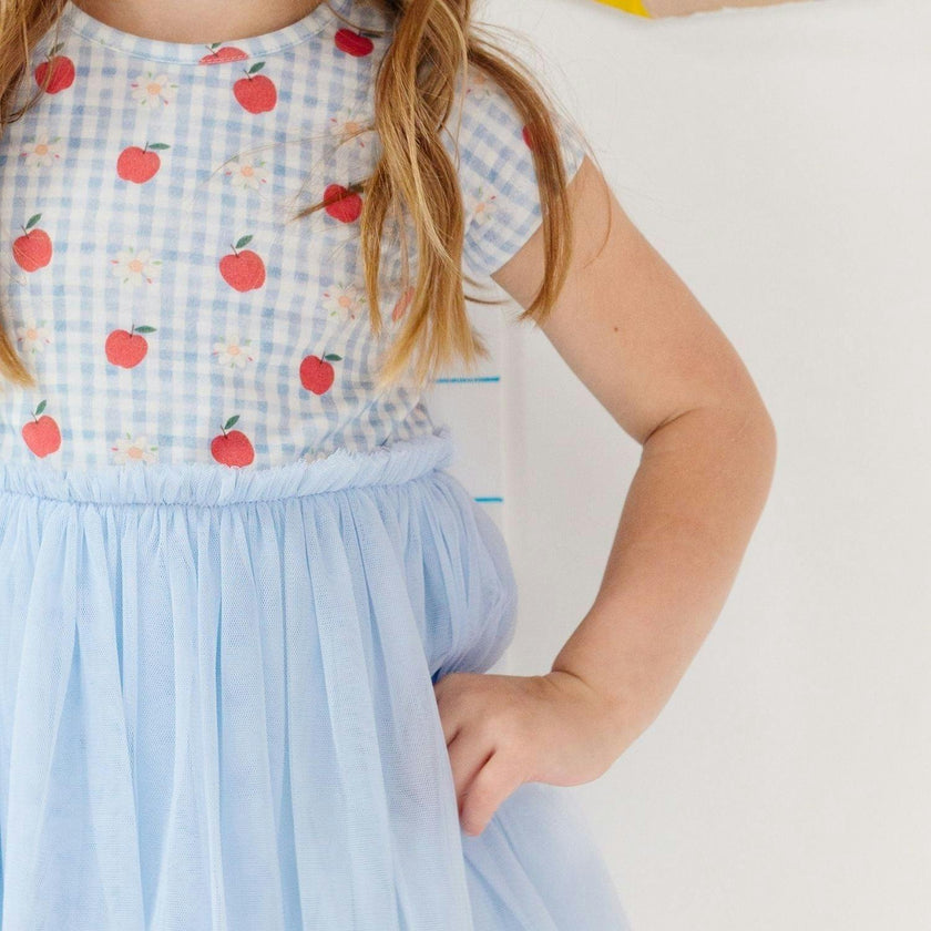 Apple Gingham Short Sleeve Tutu Dress