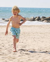 Boys Swimshorts in Turtle