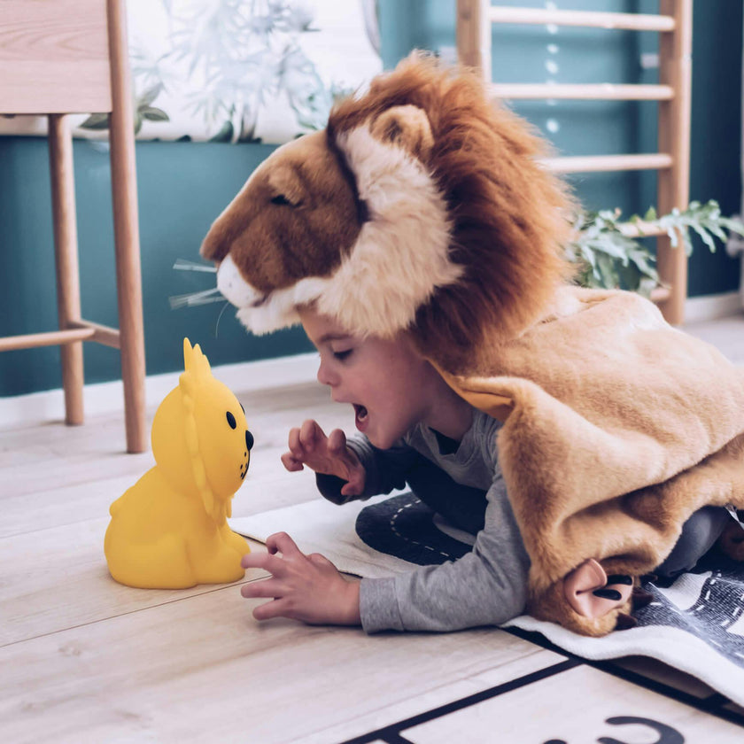 Mr Maria Lion Lights