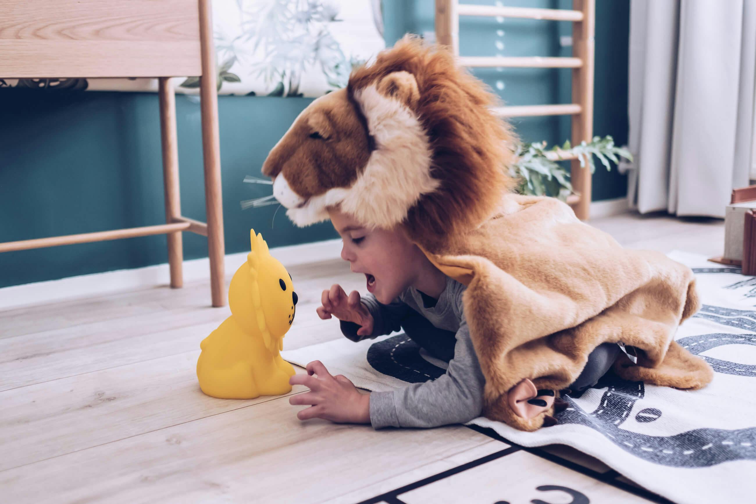 Mr Maria Lion Lights