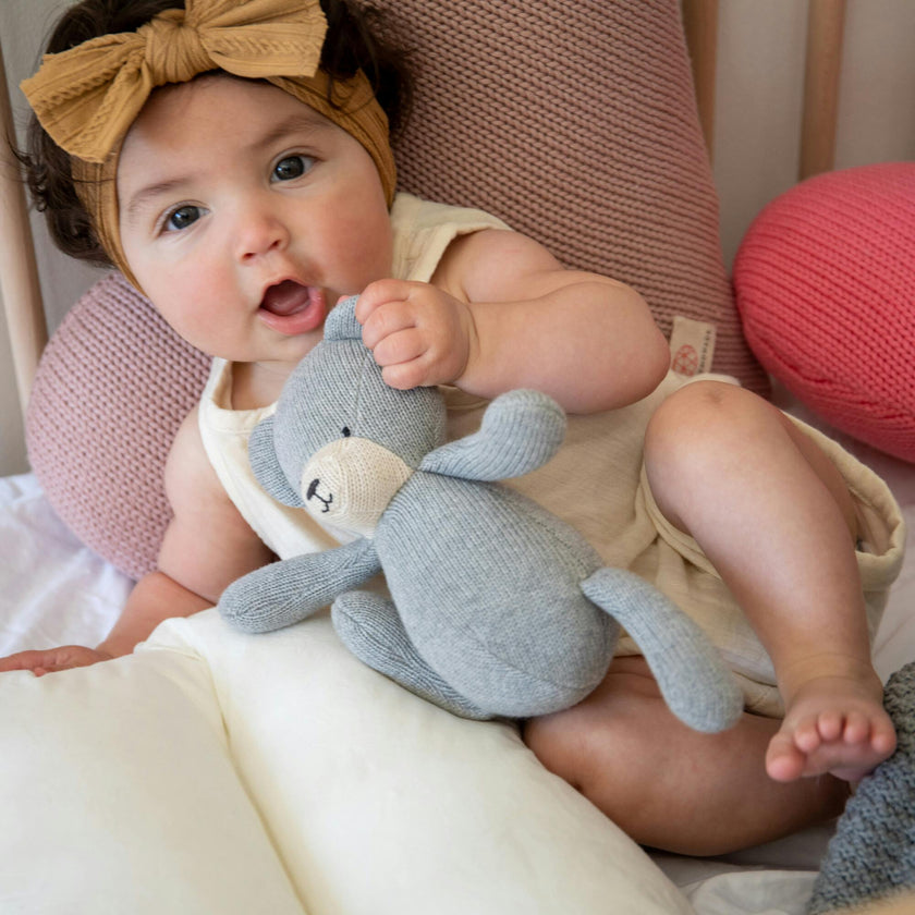 Teddy