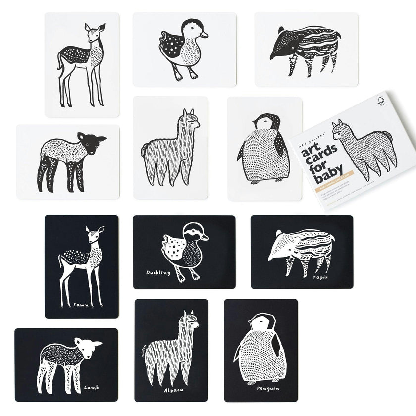 Baby Animals