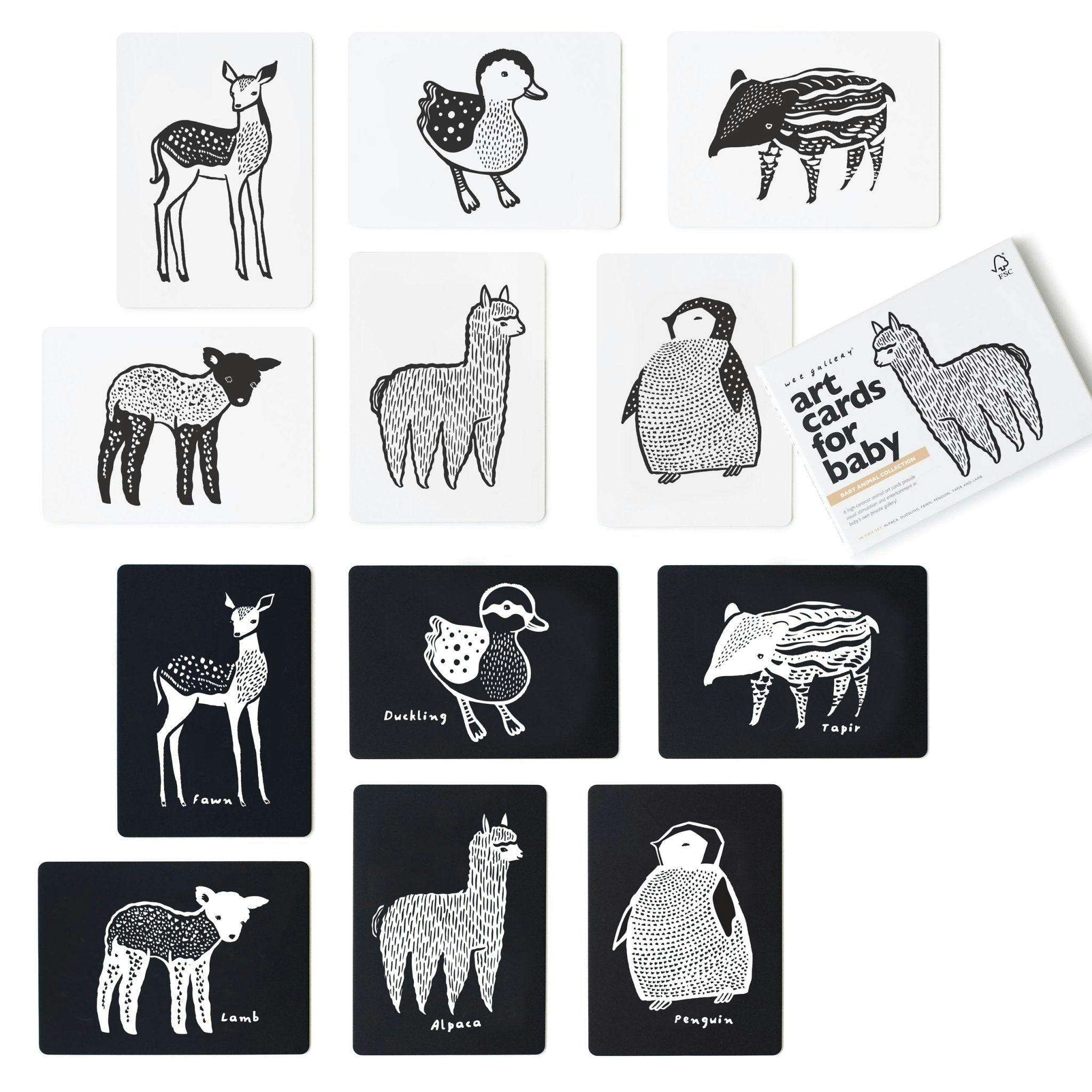 Baby Animals