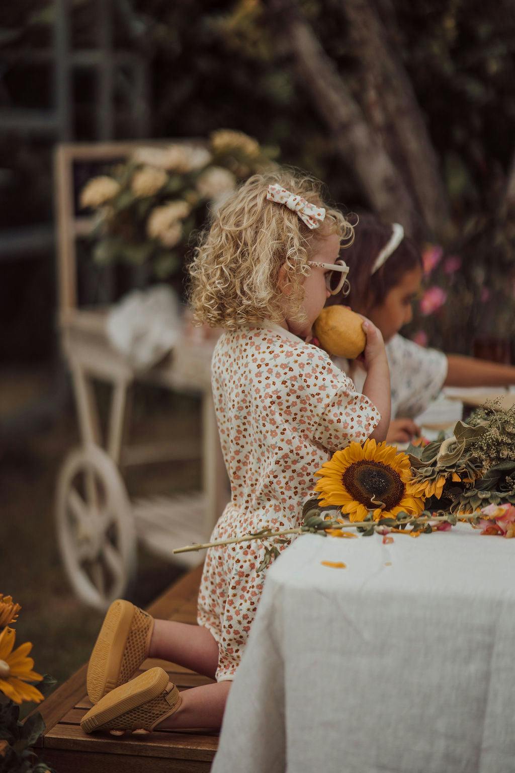 Single Bow Hair Clip | Sunset Meadow