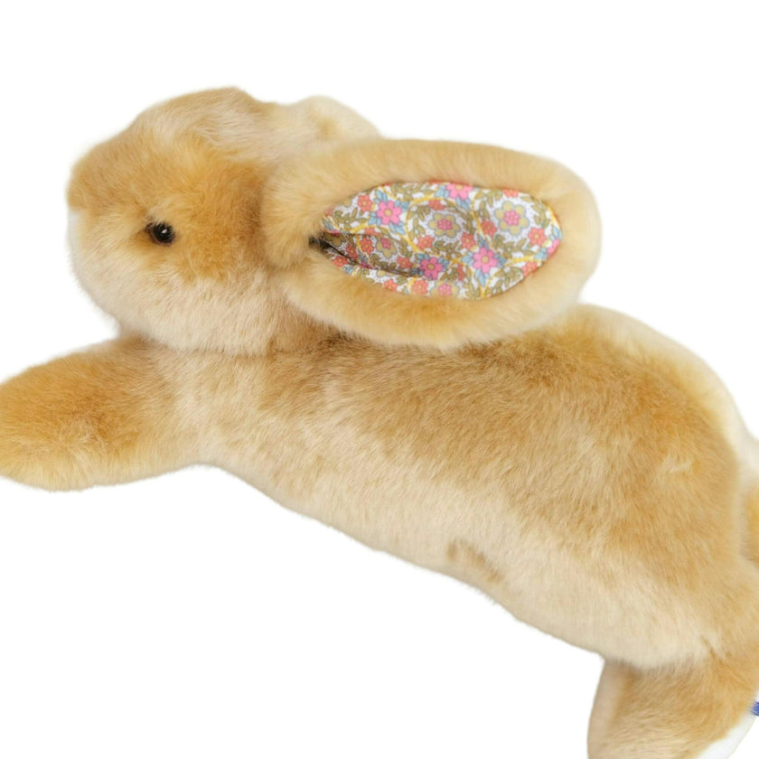 Martin the Rabbit | Honey | Jessie Liberty