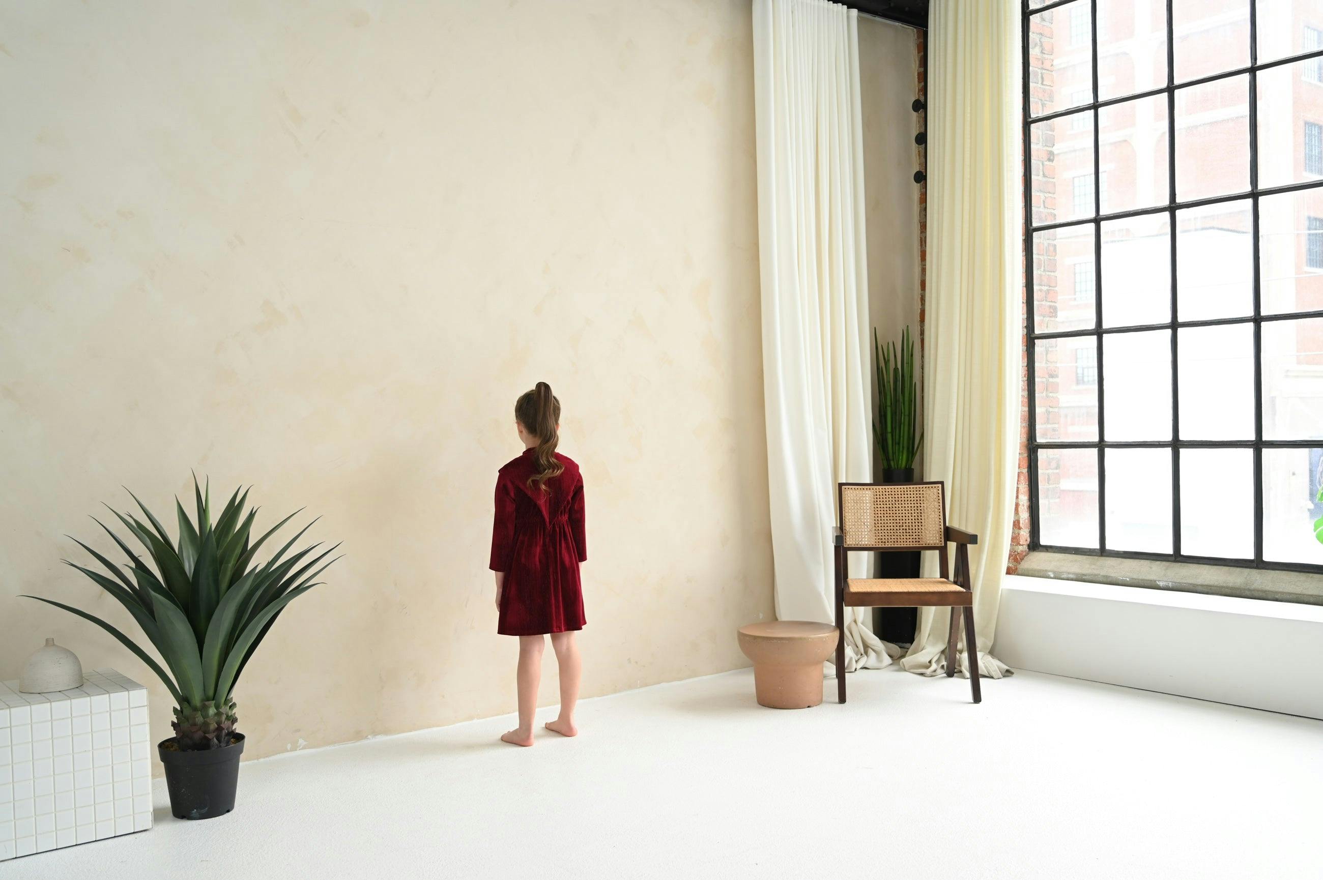 Leila dress (garnet velvet)