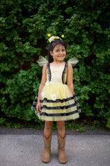 Great Pretenders Bumble Dress and Headband