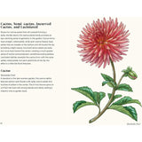 Little Book of Dahlias