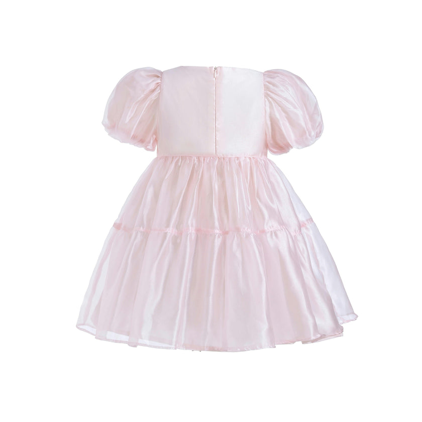 Blush Satin Elianna Dress