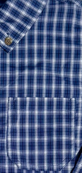 Pierfront Buttondown - Pelagic Plaid