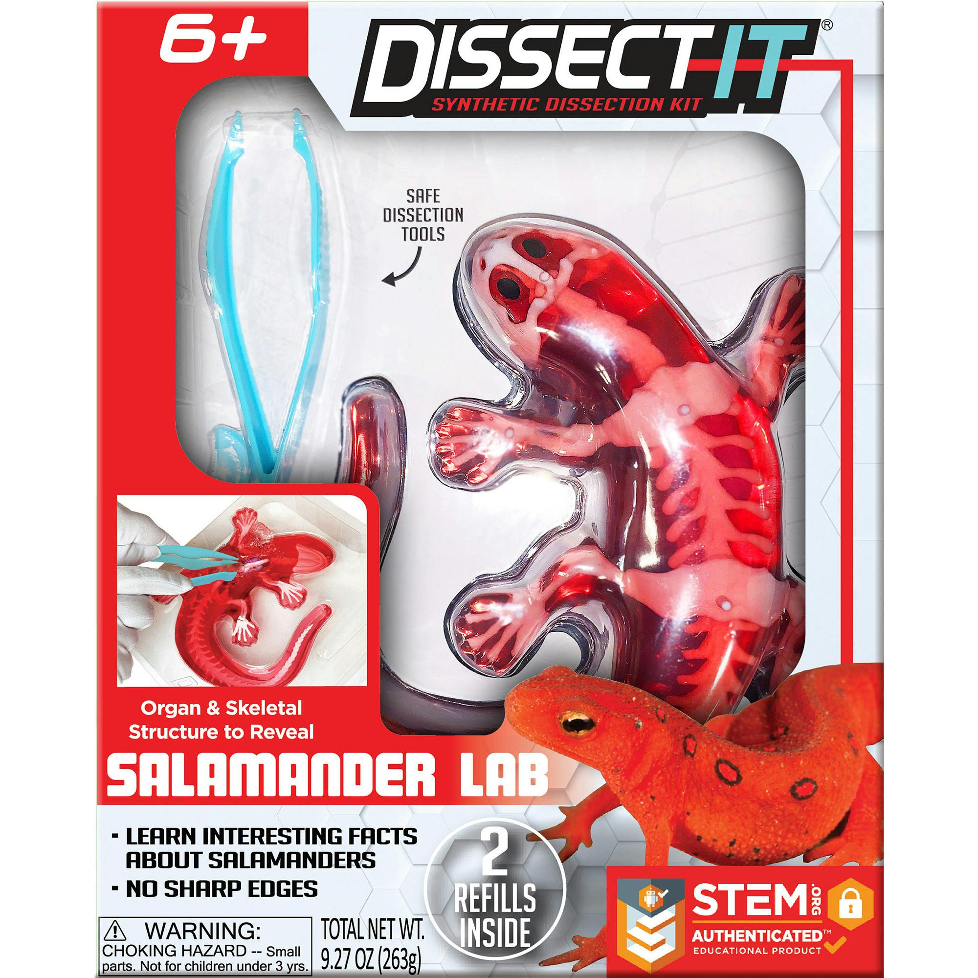 Dissect-It: Salamander Lab
