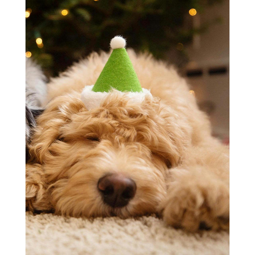 HOLIDAY HAT