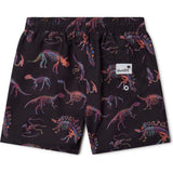 Kids Dino Bones