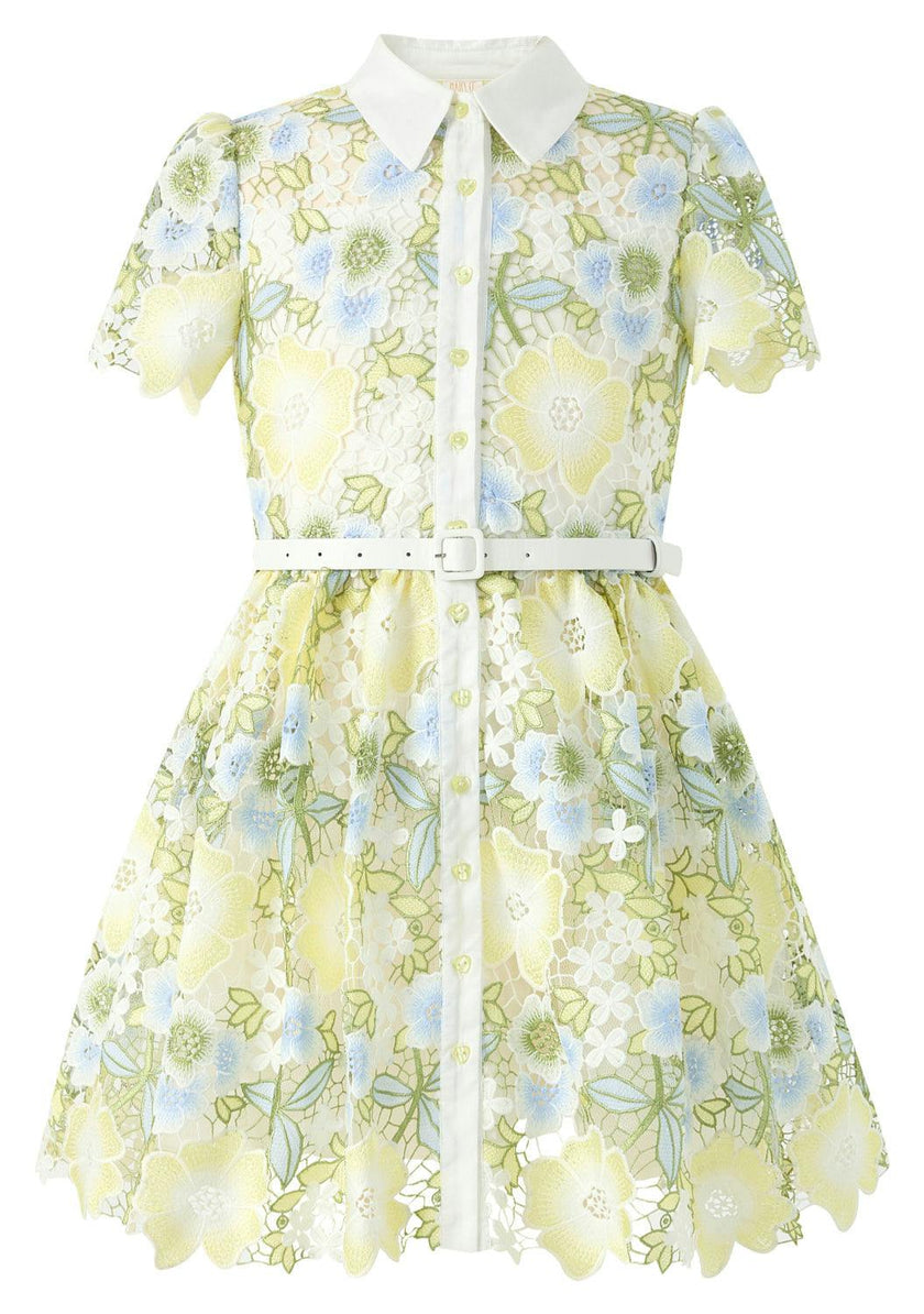 Vienna Embroidered Mini Dress