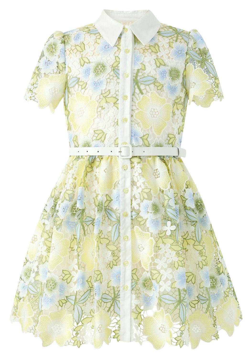 Vienna Embroidered Mini Dress