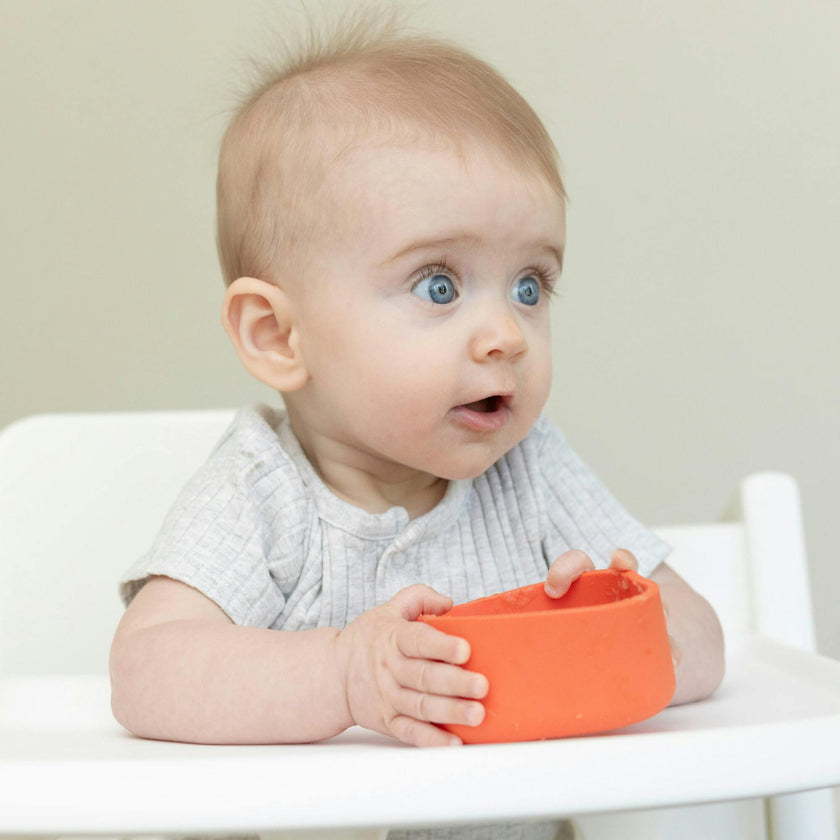 Circus Fun Little Bites 8-Piece Set