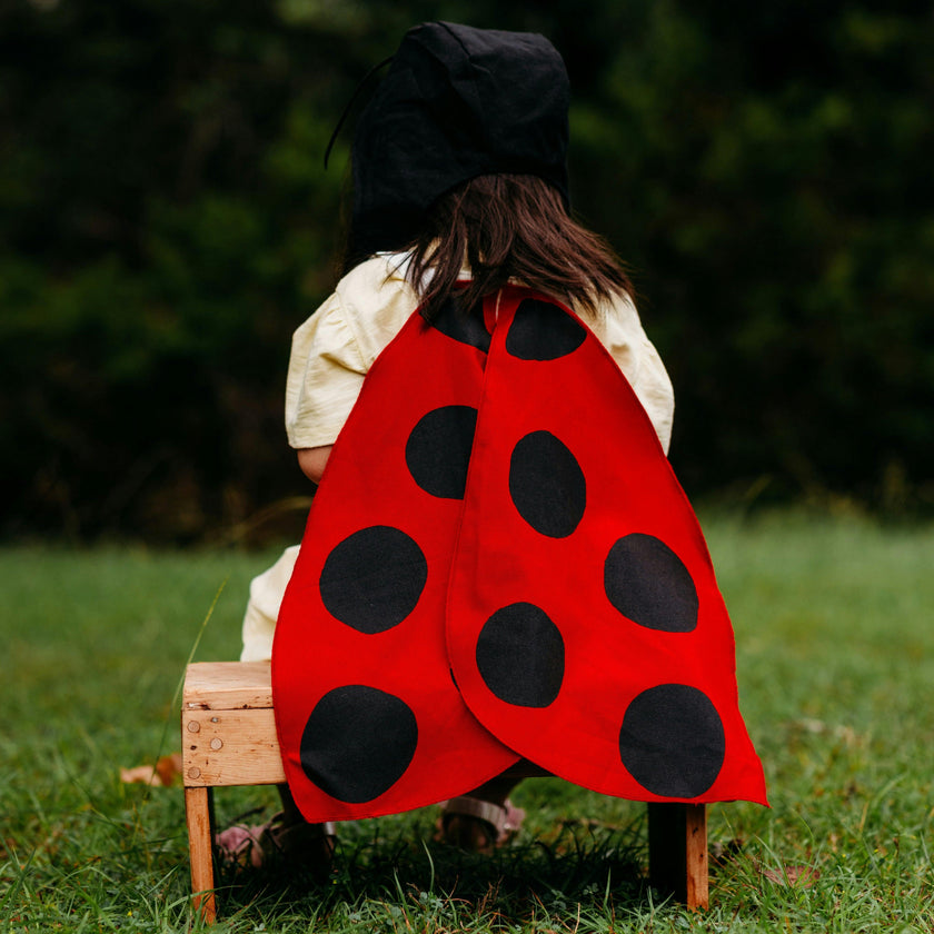 Costume Wings