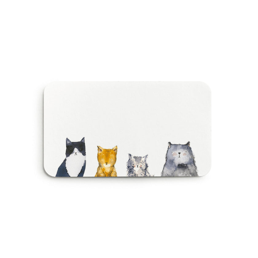 Cat Little Notes®