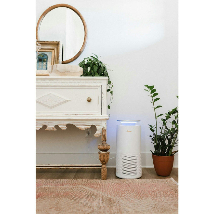 Air Purifier with True HEPA Filter – High-Performance Air Purification for Large Rooms