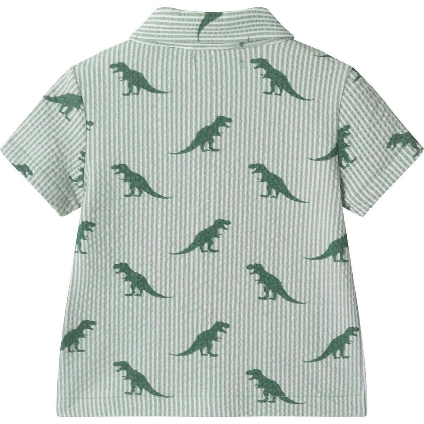Infant Boys Short Sleeve Cabana Set | Green Stripe Dino