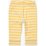 Andy Baby Legging, Yellow Stripe