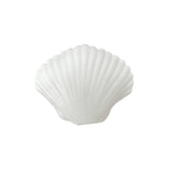 Seaside Clamshell Squeeze Squishy