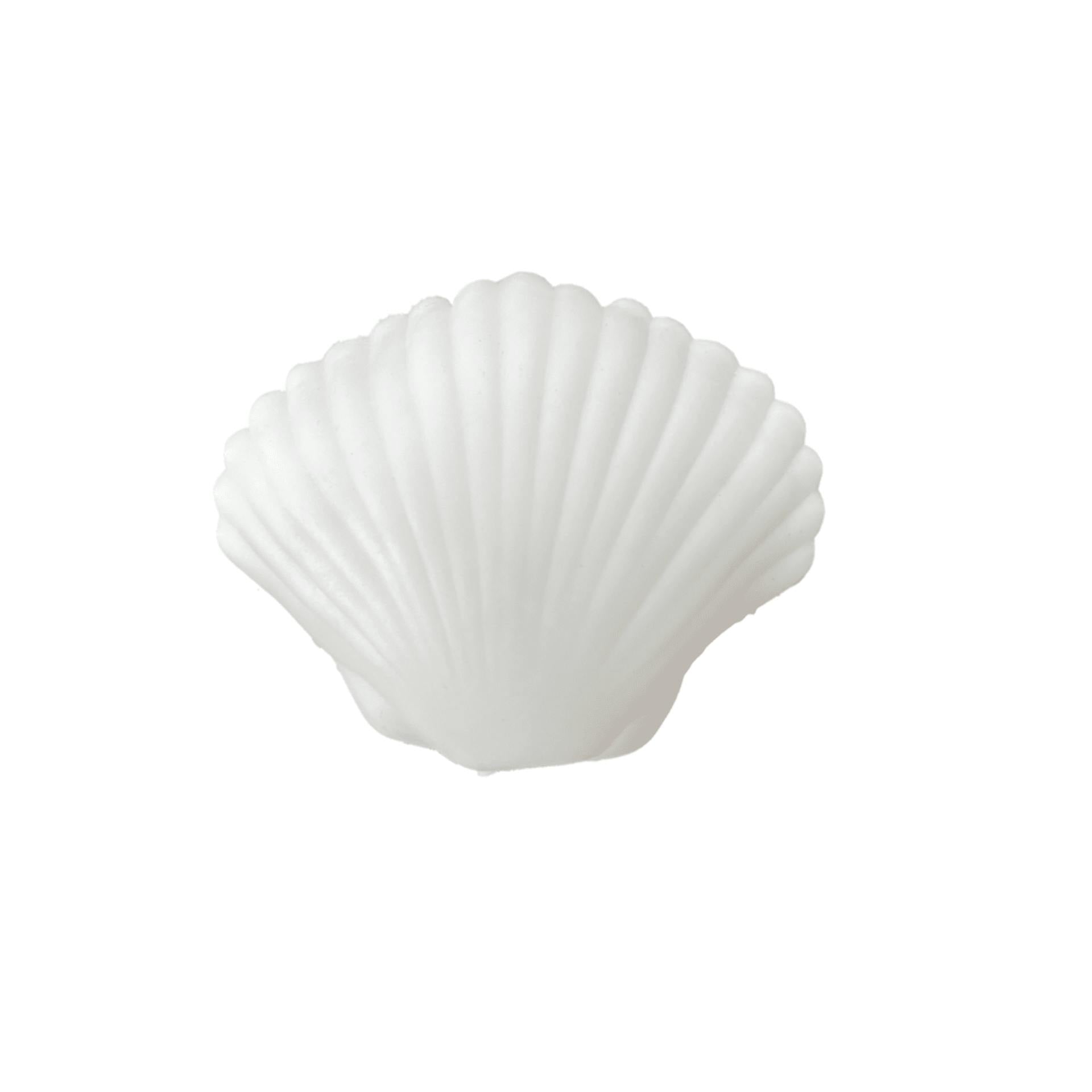 Seaside Clamshell Squeeze Squishy