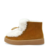 Aspen Camel