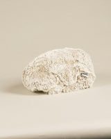 Pamplemousse Peluches Winston the Hedgehog
