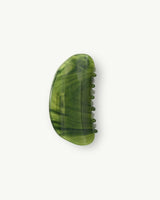 Crescent Claw in Algae