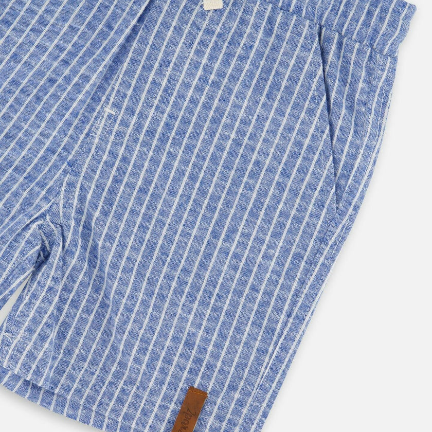 Chambray Shorts