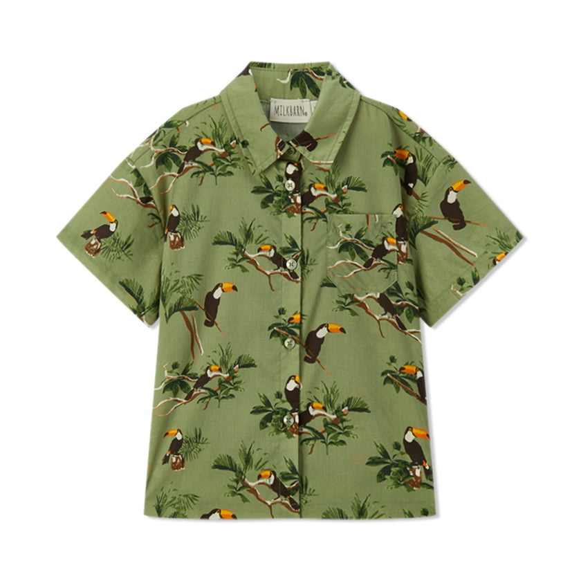 Collar Button-Up Shirt and Shorts Set