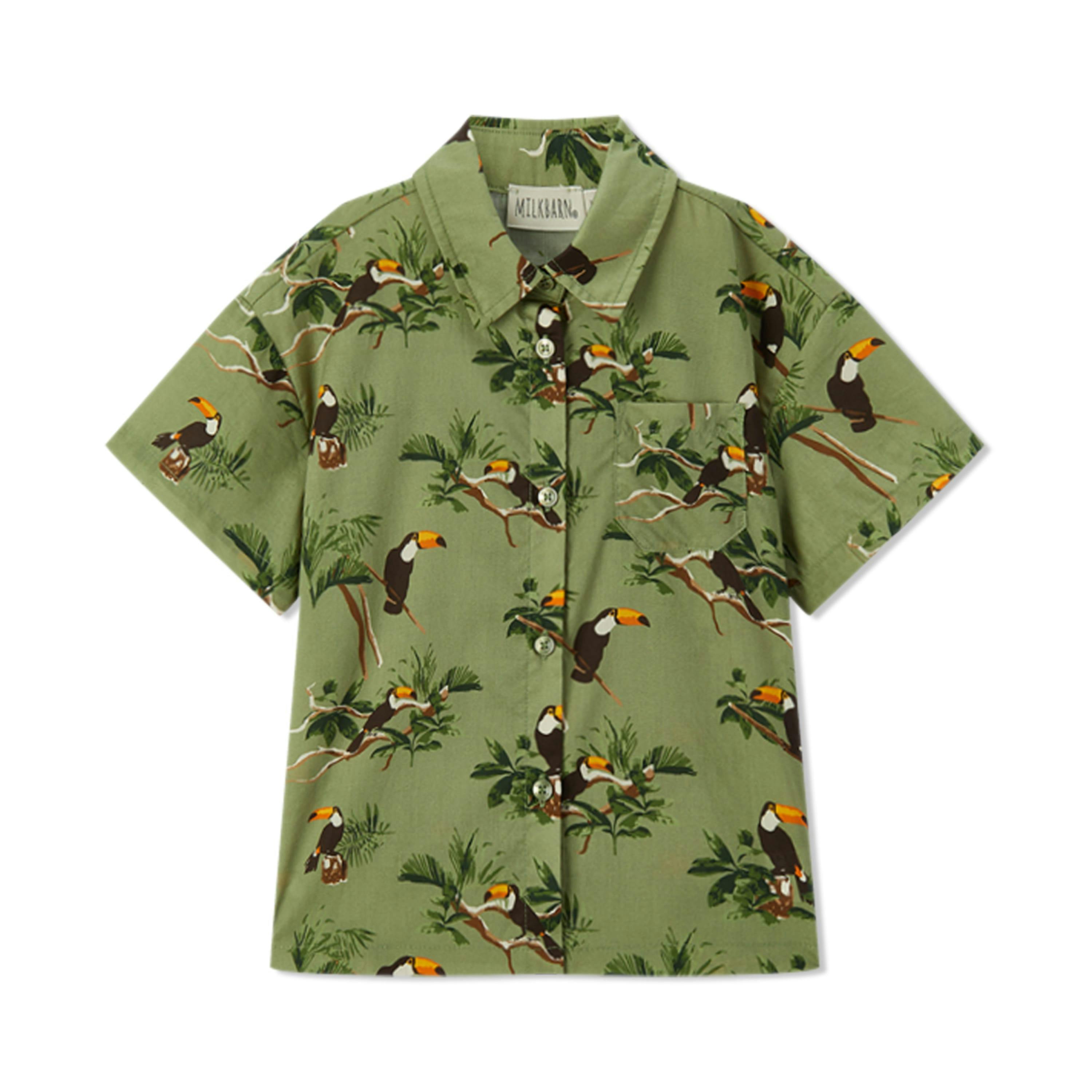 Collar Button-Up Shirt and Shorts Set