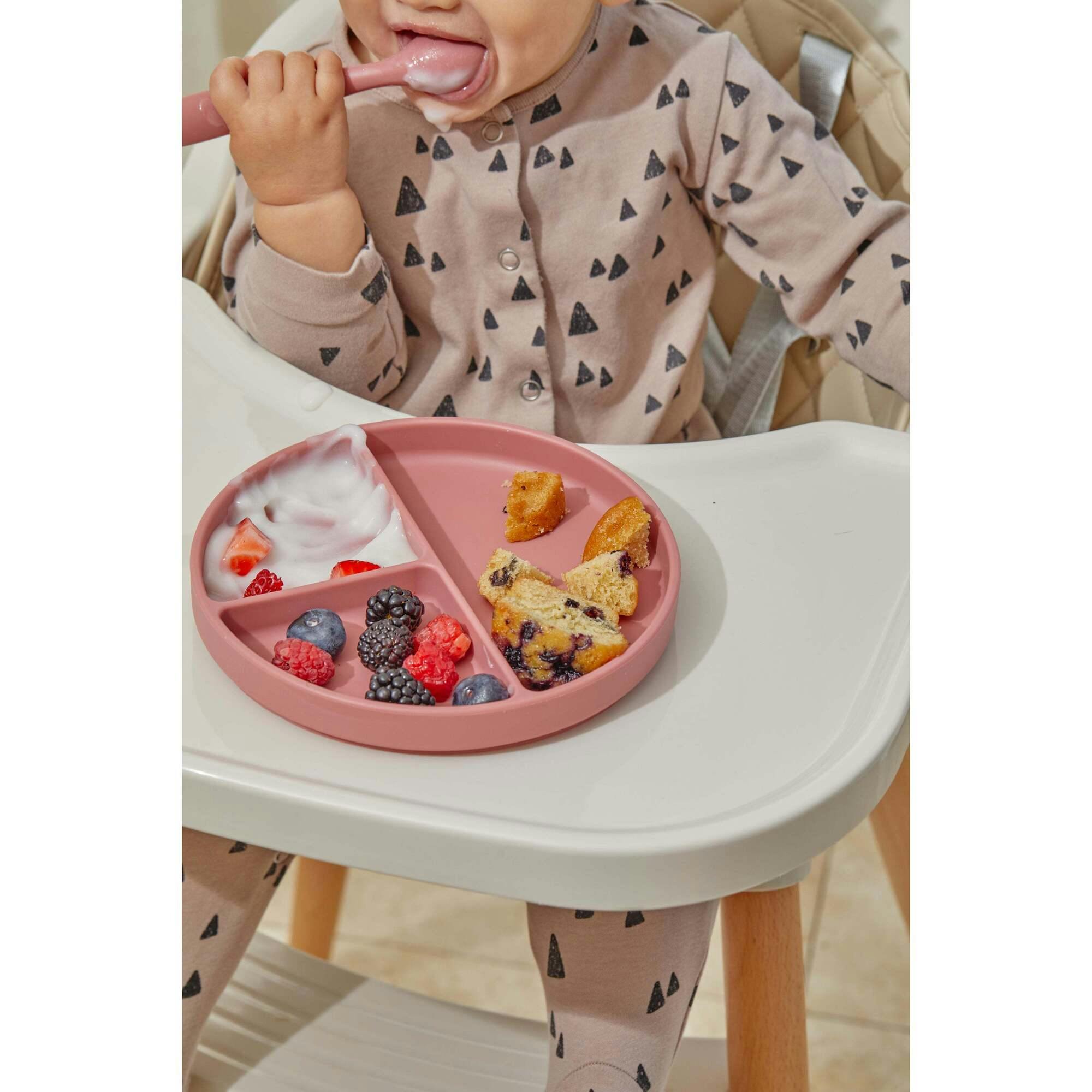 Silicone Suction Plates