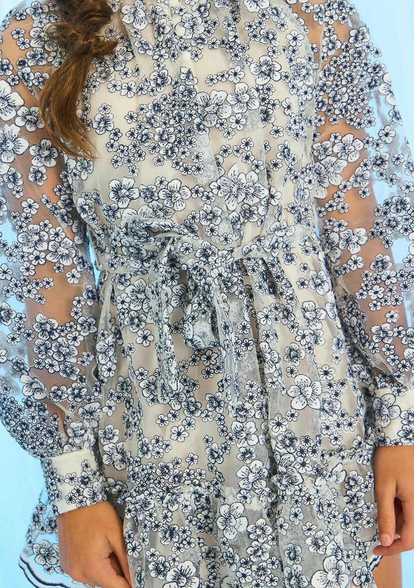 Eliza Embroidered Mini Dress