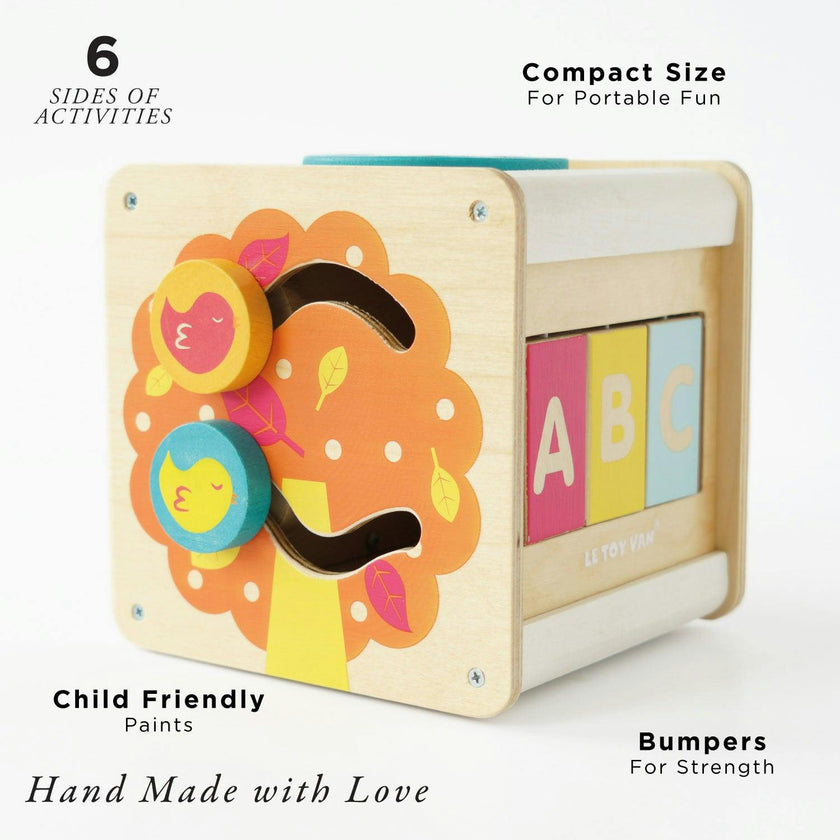 Petit Activity Cube