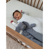 Transitional Swaddle
