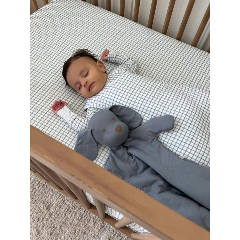 Transitional Swaddle